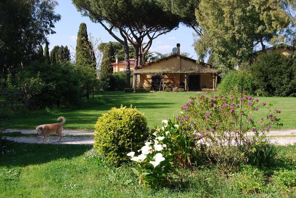Casa Vacanze Vigna Di Valle Bracciano Szoba fotó