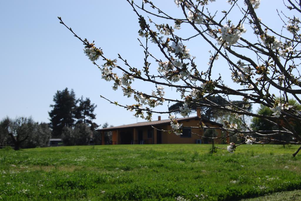 Casa Vacanze Vigna Di Valle Bracciano Szoba fotó