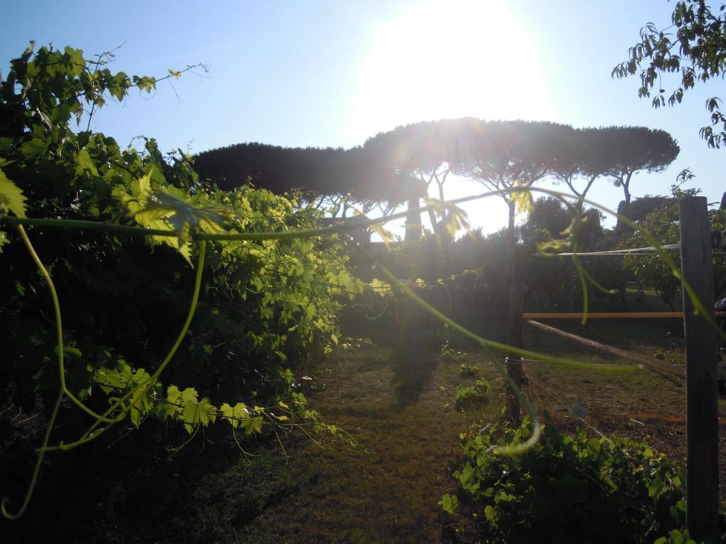 Casa Vacanze Vigna Di Valle Bracciano Kültér fotó