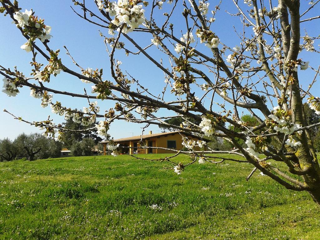 Casa Vacanze Vigna Di Valle Bracciano Kültér fotó