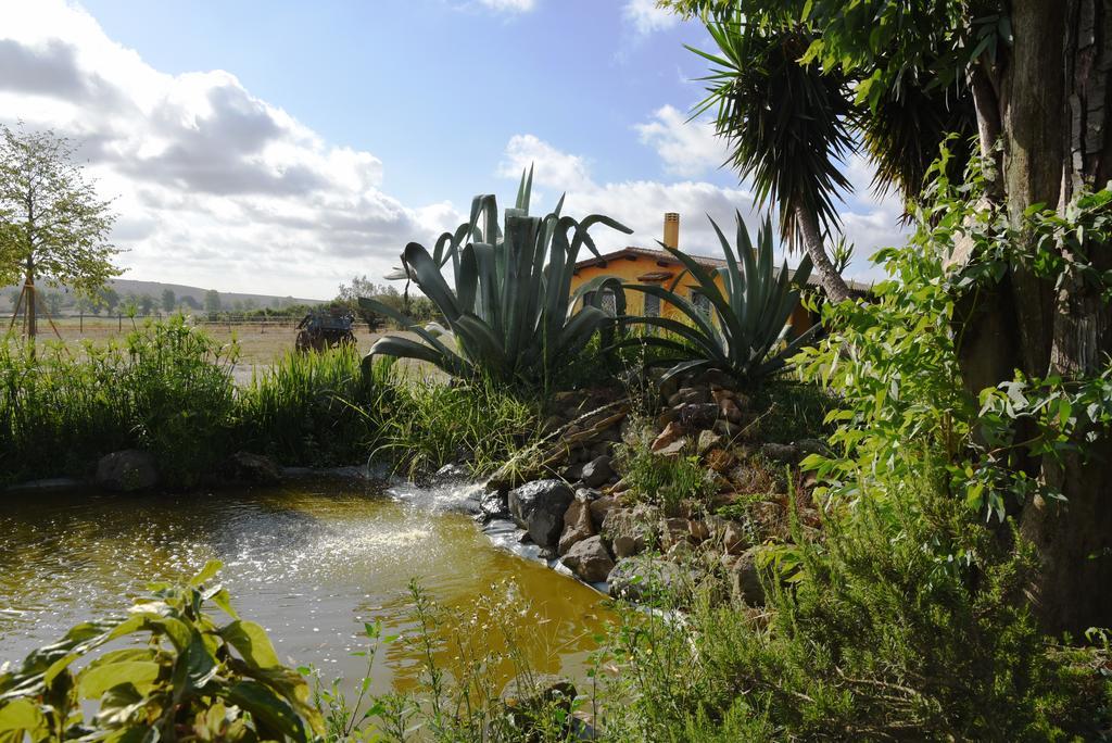 Casa Vacanze Vigna Di Valle Bracciano Kültér fotó
